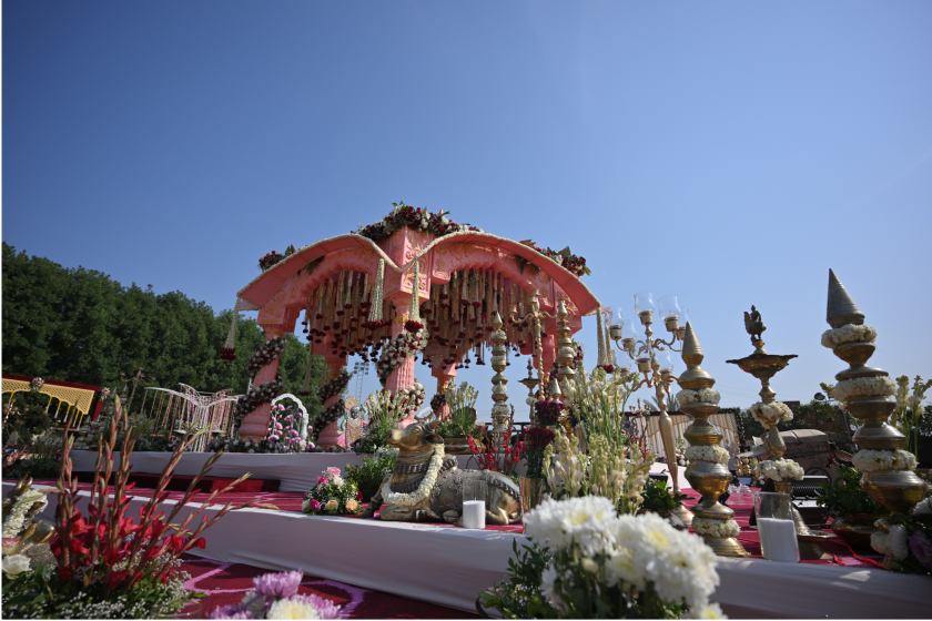 deco vision India Wedding Celebrations