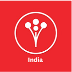 deco vision india